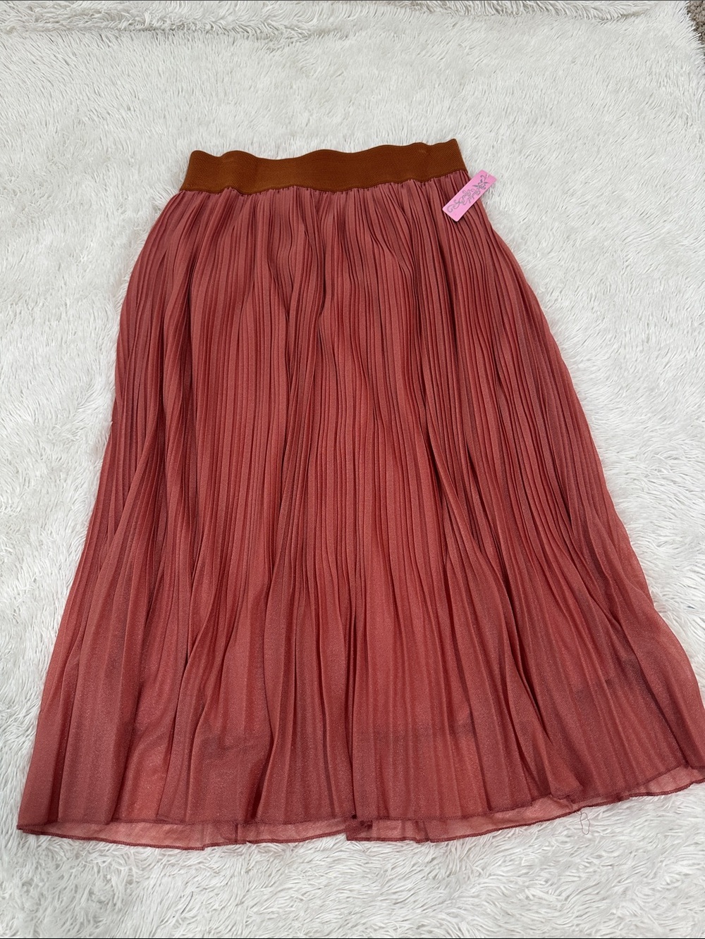 🥕 NWT Rachel Rose Pleated Midi Skirt